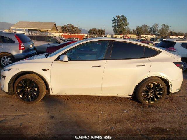 Tesla Model Y Image 11