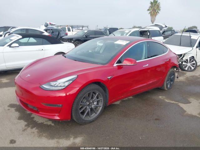 Tesla Model 3 Image 4