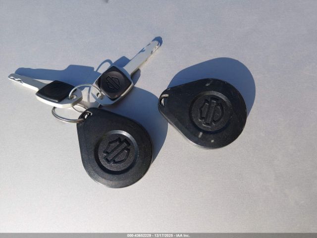 Harley-Davidson Flhcs Image 11