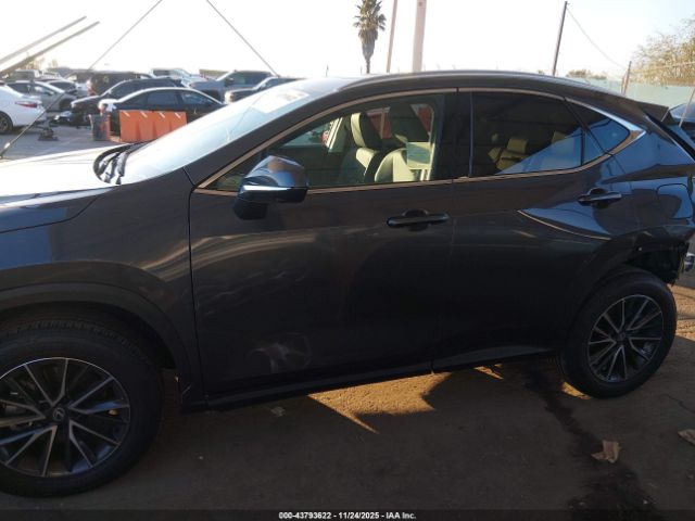 Lexus NX Nx 350 Premium Image 13