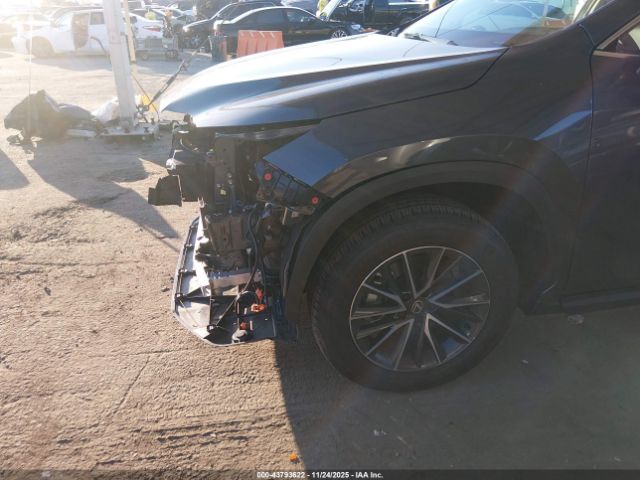 Lexus NX Nx 350 Premium Image 11