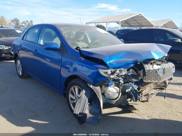 Toyota Corolla Le Image 1