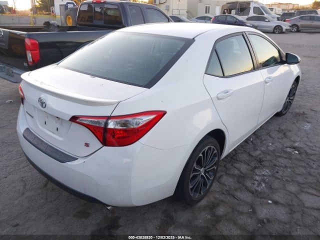 Toyota Corolla S Plus Image 5