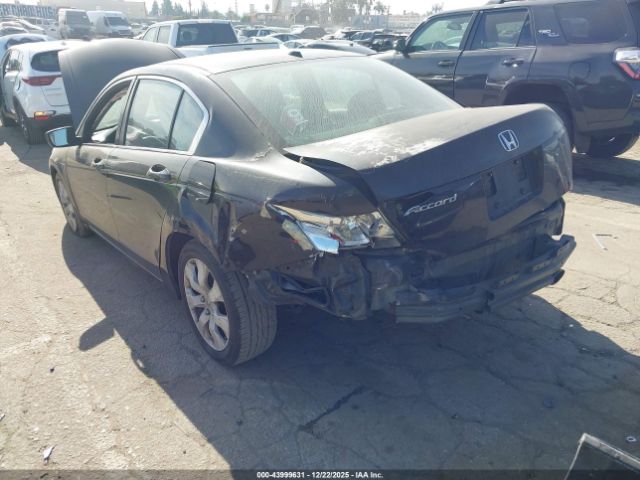 Honda Accord 2.4 Ex-l Image 7