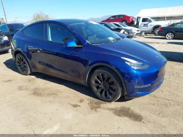 Tesla Model Y Long Range Dual Motor All-wheel Drive Image 1