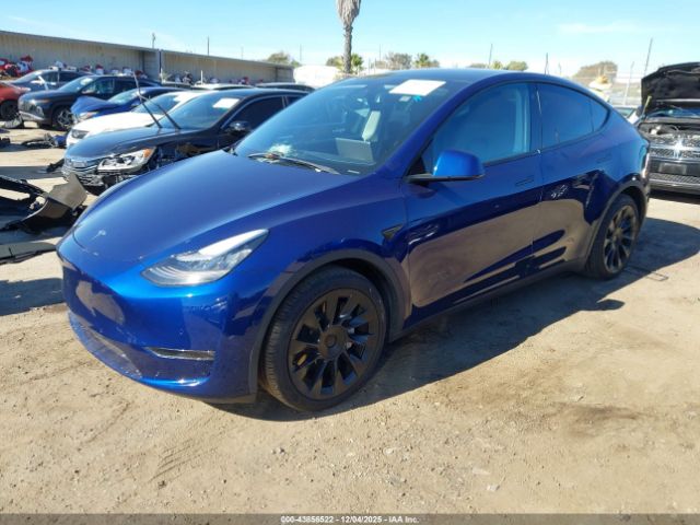 Tesla Model Y Long Range Dual Motor All-wheel Drive Image 2