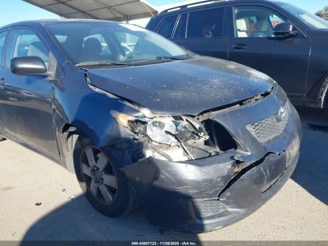 Toyota Corolla Image 8