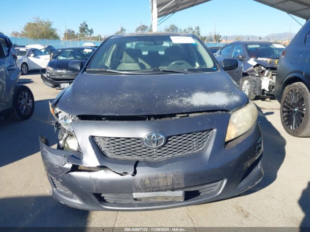 Toyota Corolla Image 16