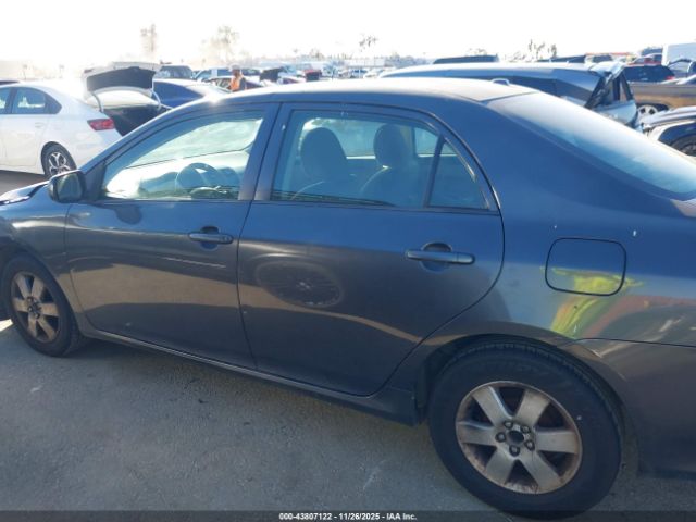 Toyota Corolla Image 12