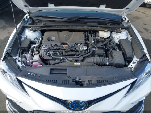 Toyota Camry Xle Image 10