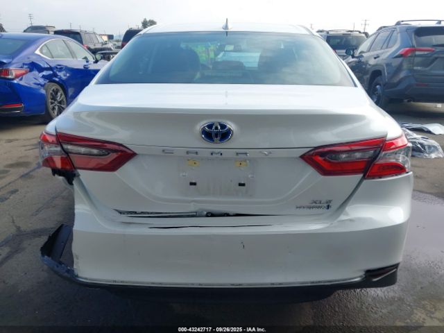Toyota Camry Xle Image 14