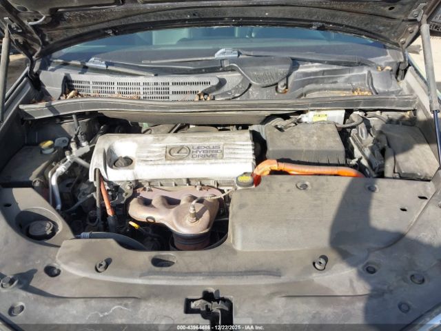 Lexus HS 250h Image 7