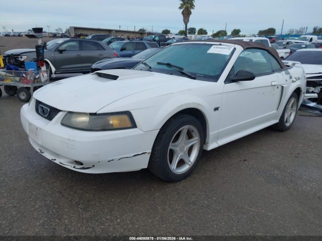 Ford Mustang Gt Image 3