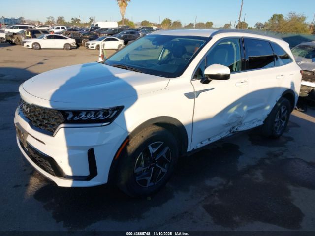 Kia Sorento Ex Image 10