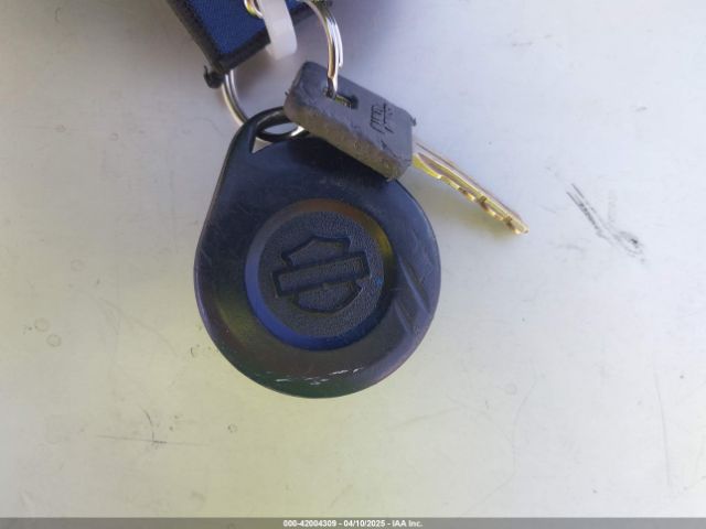 Harley-Davidson Xl883 Iron 883 Image 11