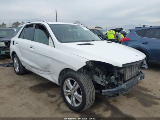 Mercedes-Benz M-Class 4matic Image 9