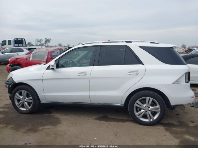 Mercedes-Benz M-Class 4matic Image 2