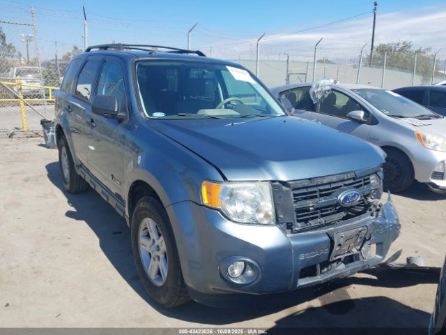 Ford Escape Limited Image 1