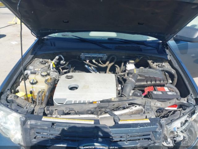 Ford Escape Limited Image 5