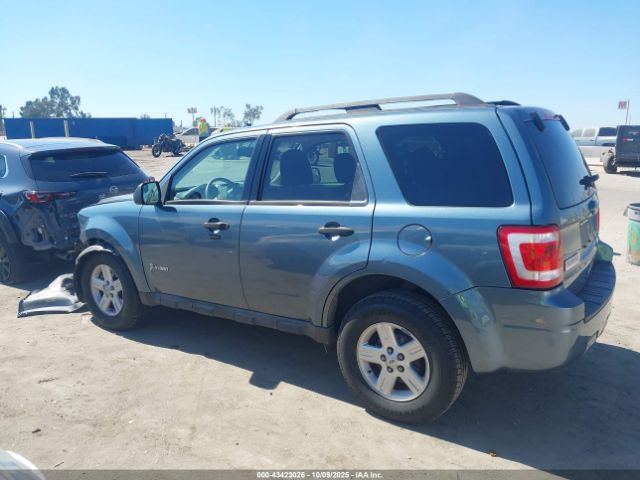 Ford Escape Limited Image 12