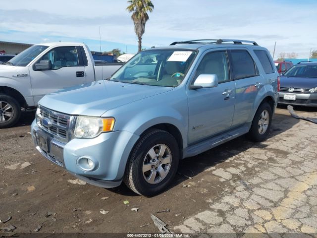 Ford Escape Limited Image 3