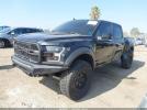 Ford F-150 Raptor Image 7