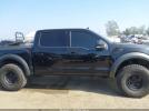 Ford F-150 Raptor Image 6