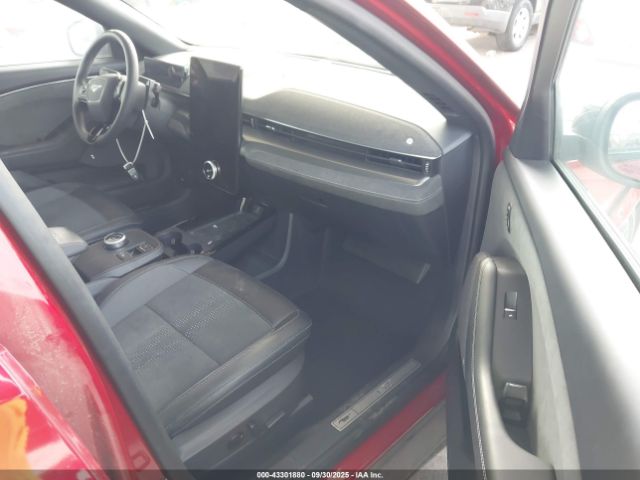 Ford Mustang Gt Image 10