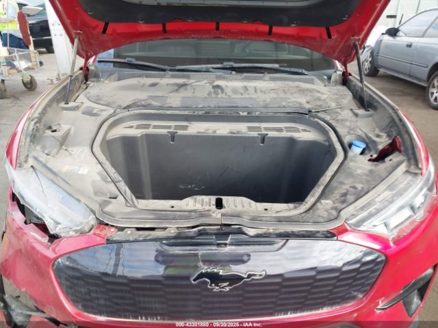 Ford Mustang Gt Image 2