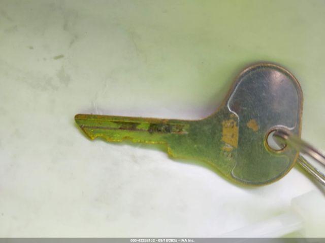 Volkswagen Beetle Image 3