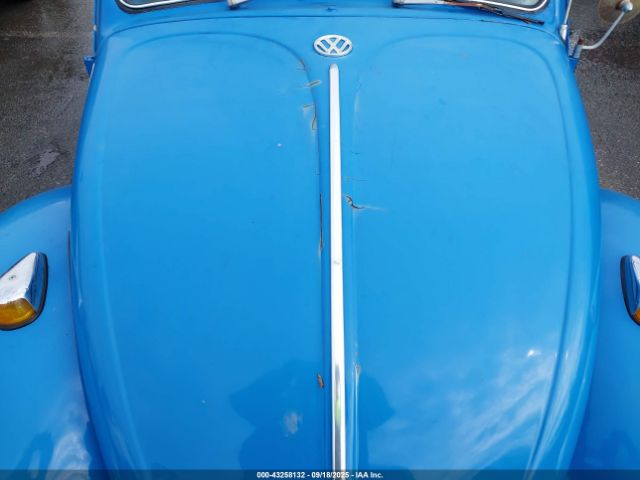 Volkswagen Beetle Image 7