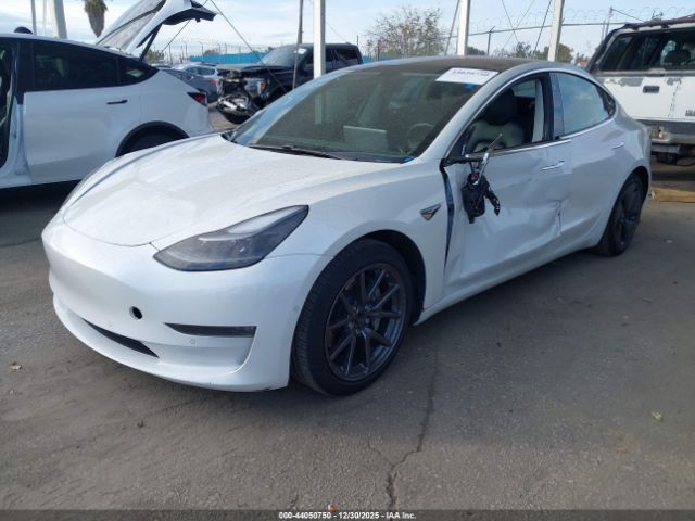 Tesla Model 3 Image 6