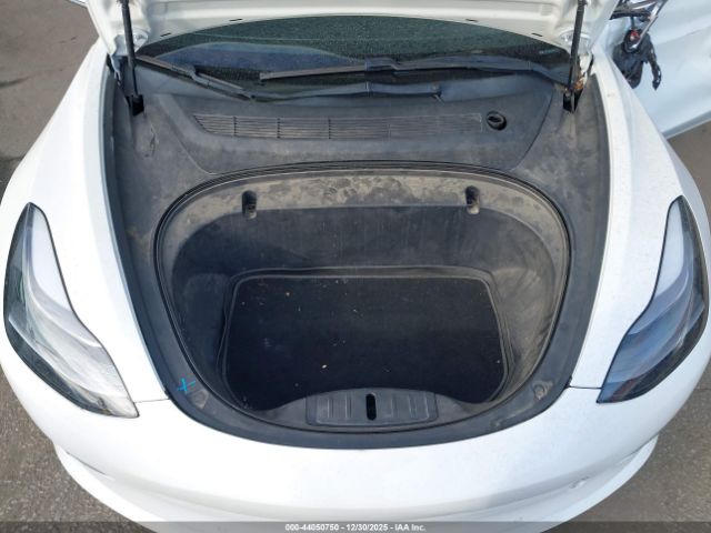 Tesla Model 3 Image 10