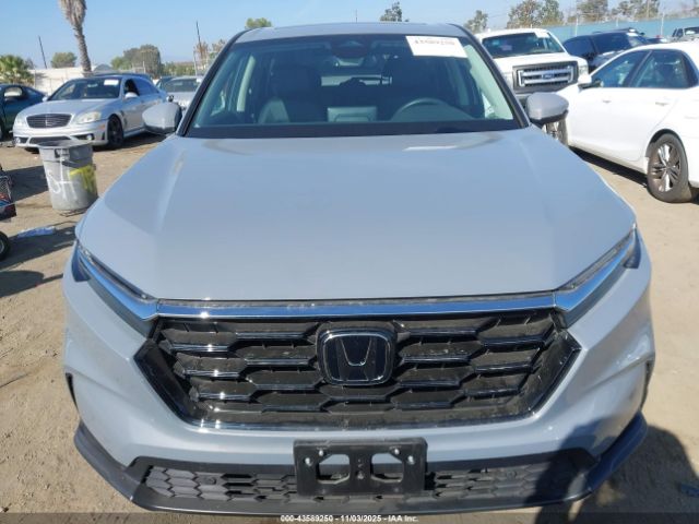 Honda CR-V Ex-l 2wd Image 2