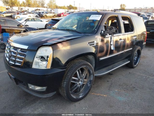 Cadillac Escalade Standard Image 12