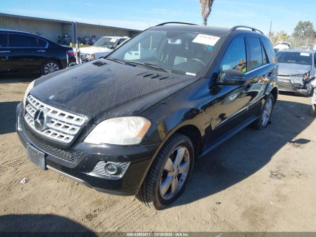 Mercedes-Benz M-Class 4matic Image 5